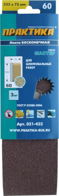 Лента шлифовальная ПРАКТИКА   75 х 533 мм P 60 (3шт.) картонный подвес**