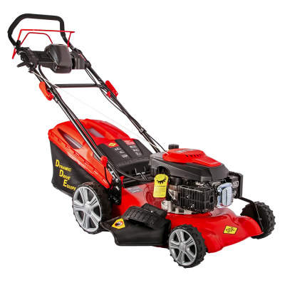 Газонокосилка бензиновая DDE LM 51-60 DE (6,0 л.с. шир 51 см выс 25-75 мм сборник самоход элстарт)