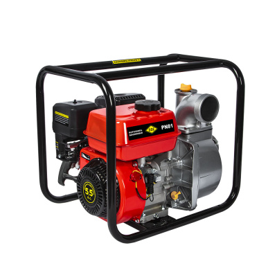 Мотопомпа бензиновая DDE PN81 (вых 80мм, 5.5 лc,32м,,48 м куб/час, 3,6л,26.5кг)